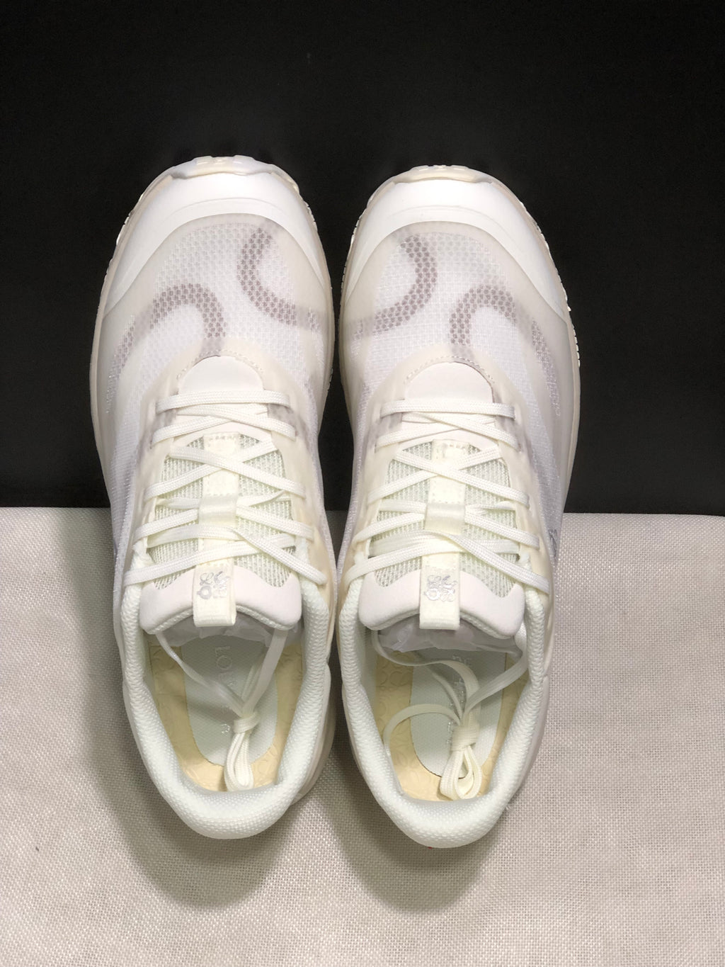 LOEWE x On Running Cloudventure 2.0 Running Shoes Co-Signed Edition Eggshell