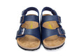 Birkenstock Two-Button Navy Matte Leather Casual Sandals