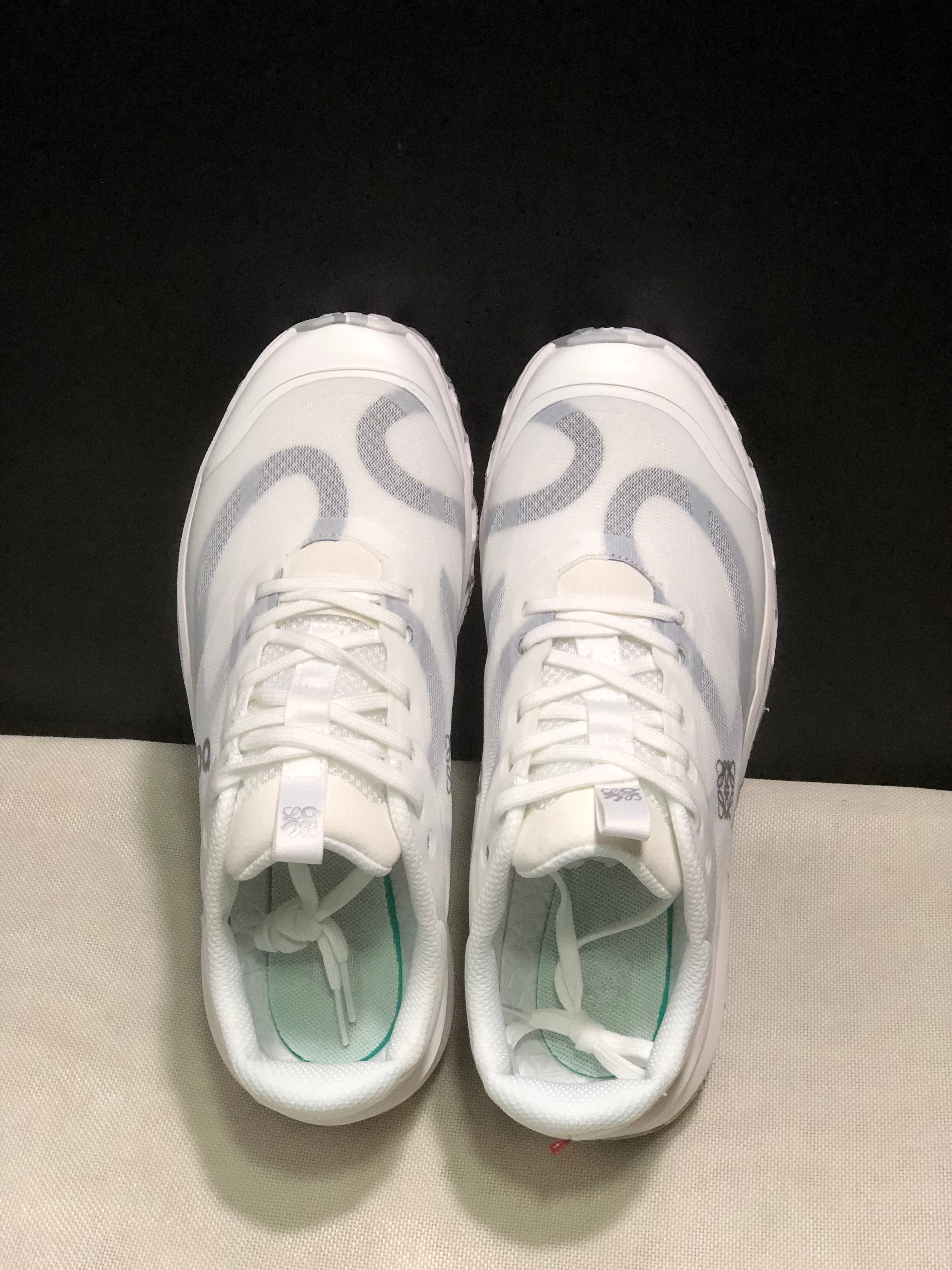 LOEWE x On Running Cloudventure 2.0 White Running Shoes Co-Signed Edition